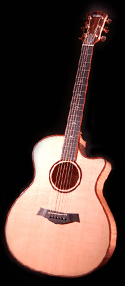 Taylor acoustic guitar